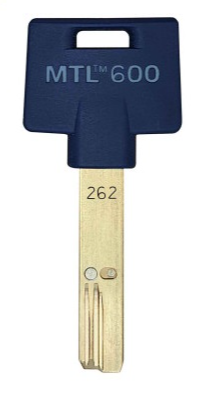 Forja Inter+ 262 Azul - Calidad Premium en MX6019