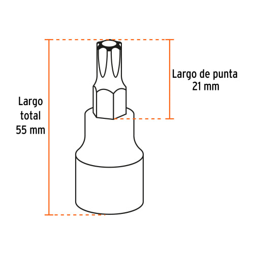 Juego de 7 dados Torx 1/2" - Alta precisión y durabilidad