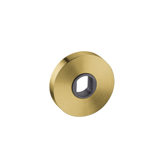Roseta Titanium Gold | Colección exclusiva de joyería