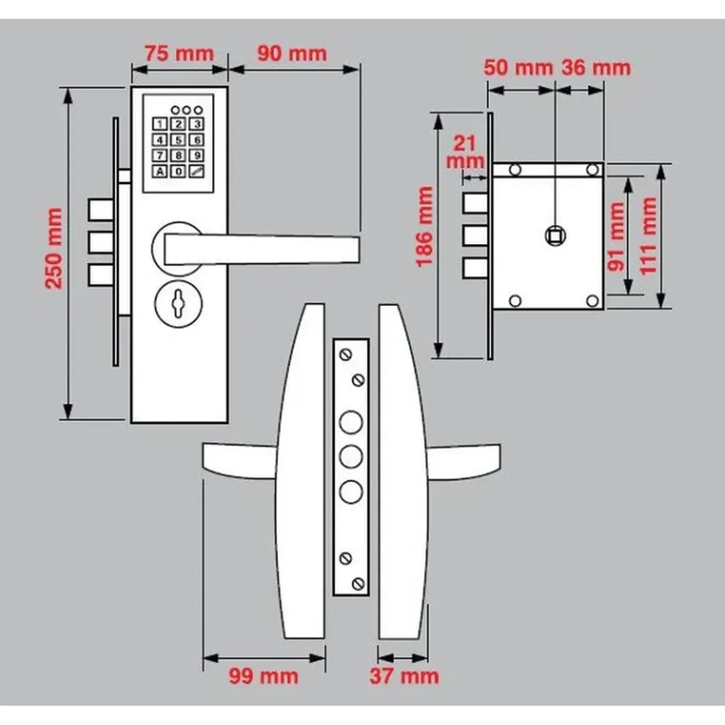 Cerradura Digital de Cromo - Precisión Profesional