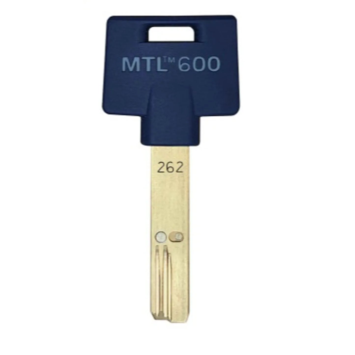 Forja Inter+ 262 Azul - Calidad Premium en MX6019