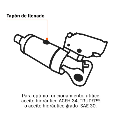 Gato de Patín Elegante con Maletín - 2 Tonos