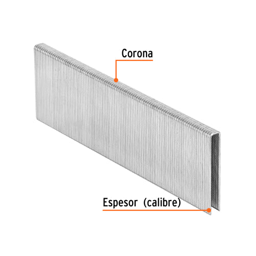 Grapa Neumática ENEU-1/4-38 - Caja de 5000 Piezas