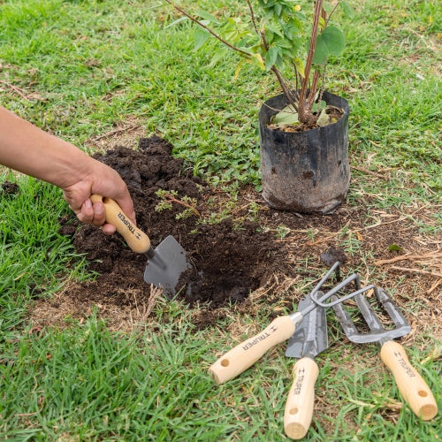Kit de 4 Herramientas Jardinería 6" - Esencial para tu Jardín