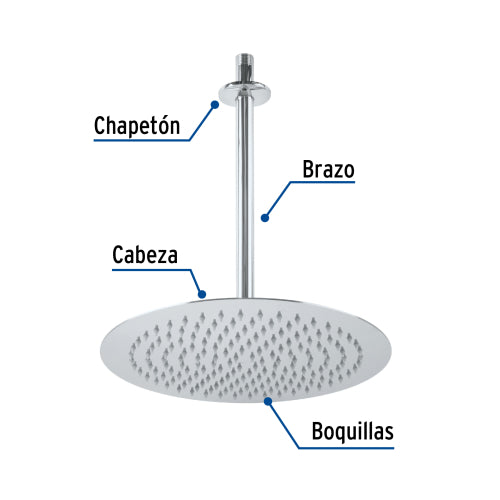 Regadera Redonda Cromada 12" - Calidad Premium