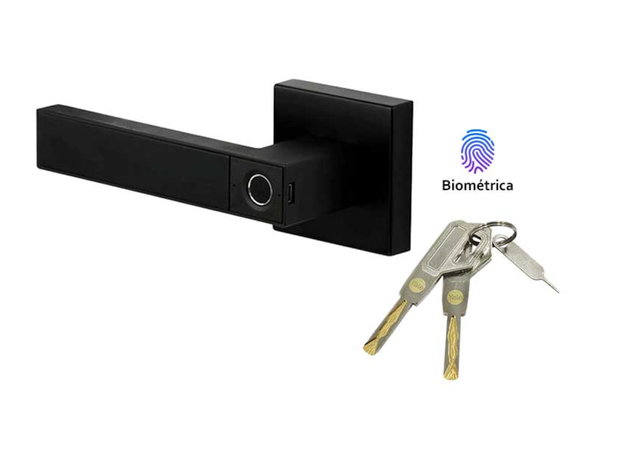 MX89804 MANIJA CASTELLI BIOMETRICA ANE